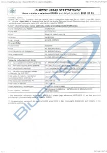 Firma transportowa Blue